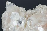 Colorless Apophyllite Crystal Cluster on Stilbite - India #183975-1